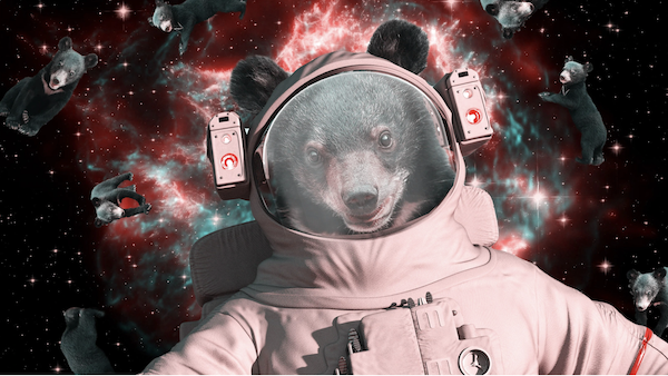 spacebear