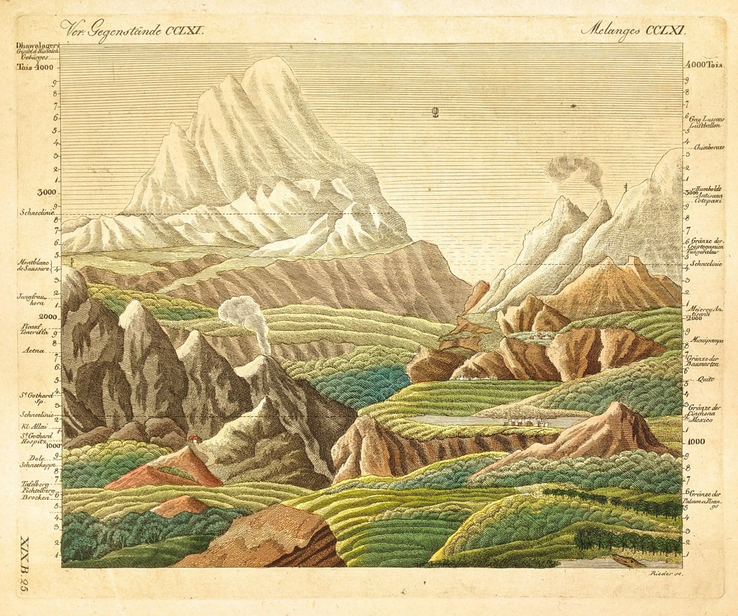 A drawing of different landscapes from Alexander von Humboldt